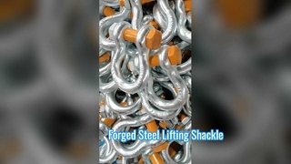 Galvanized American Type Shackle - 40Cr Alloy Steel for Heavy Lifting